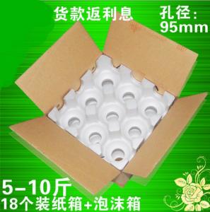 10斤梨子快遞泡沫包裝箱橙子泡沫格子紙箱